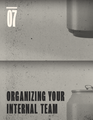 Organizing Your Internal Team